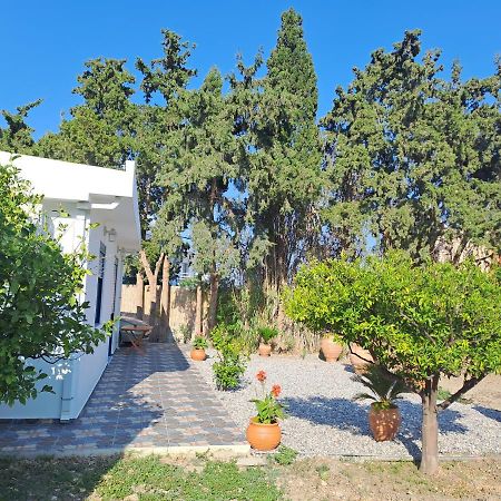 Deja Blue Villa Archangelos  Luaran gambar
