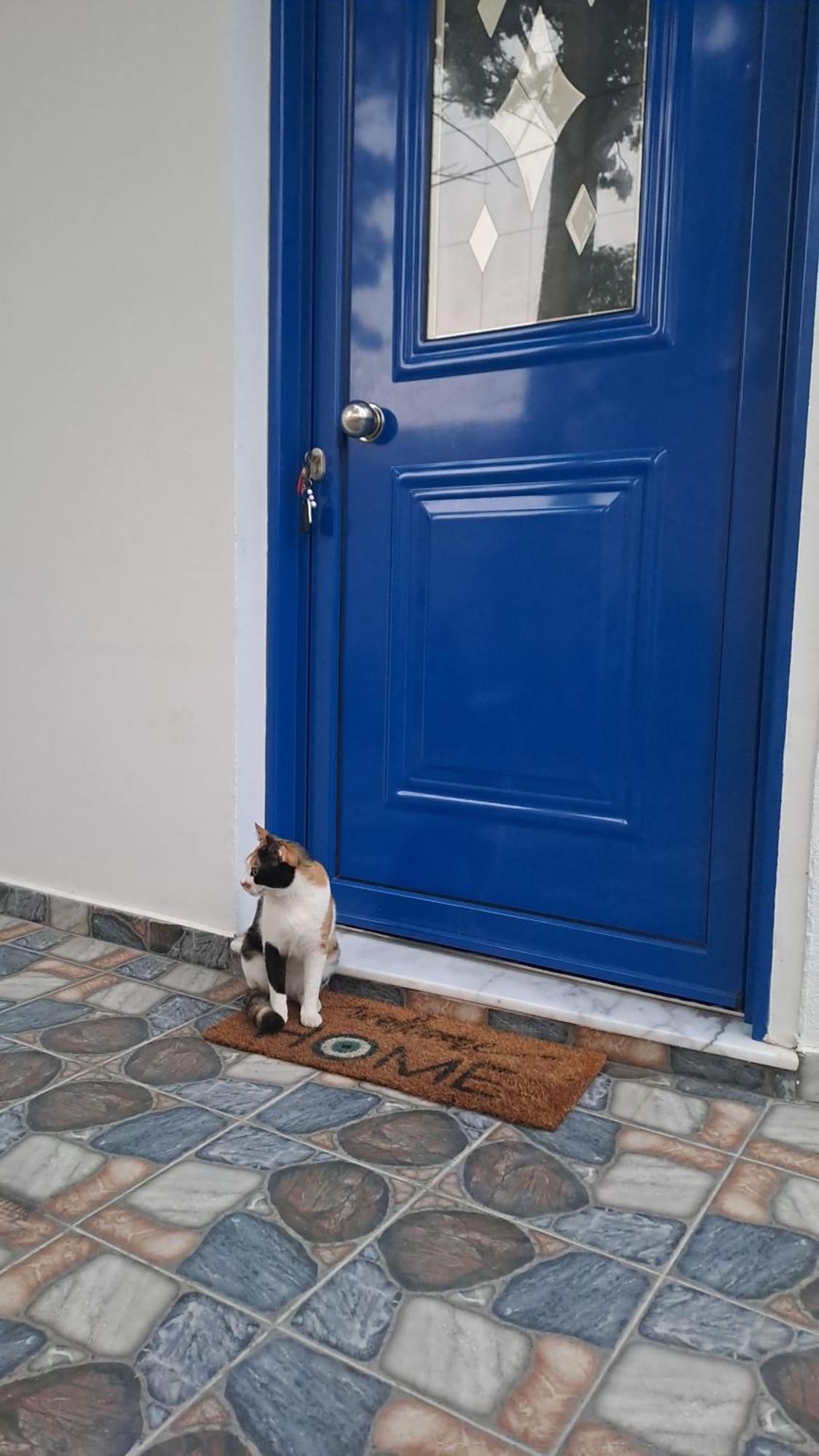 Deja Blue Villa Archangelos  Luaran gambar